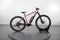 Ebike Das Original Offroad Advanced 9